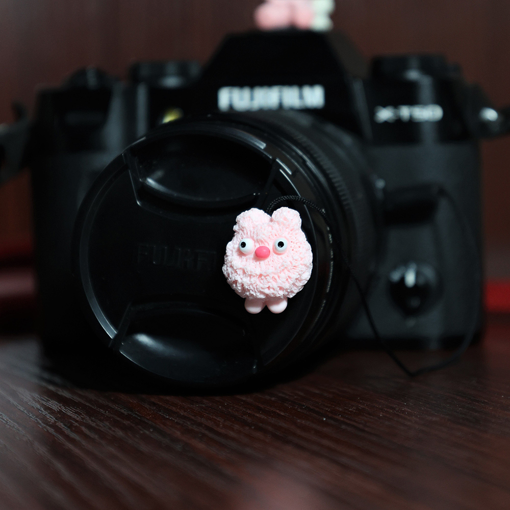 غطاء عدسة كاميرا جميل مع حبل م - مراجعة Sony Camera Zv-E10 وسعره